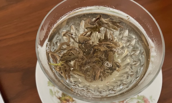 姫茶伝「茉莉龍珠」は香りがすごいジャスミン茶