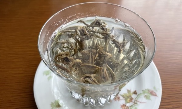 姫茶伝「茉莉龍珠」は香りがすごいジャスミン茶