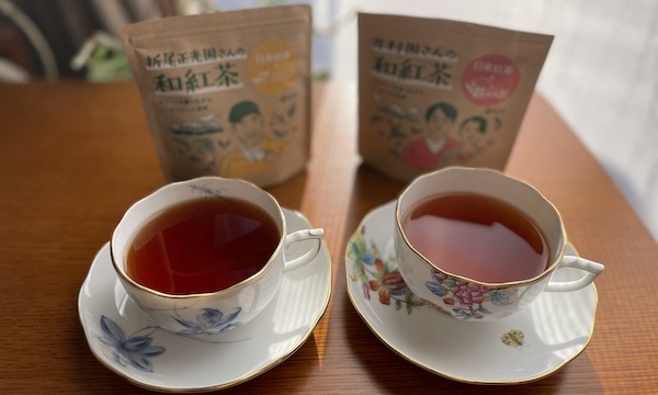 セブンイレブンで買える！日東紅茶コラボ「井村園さんの和紅茶」と「折尾正光園さんの和紅茶」